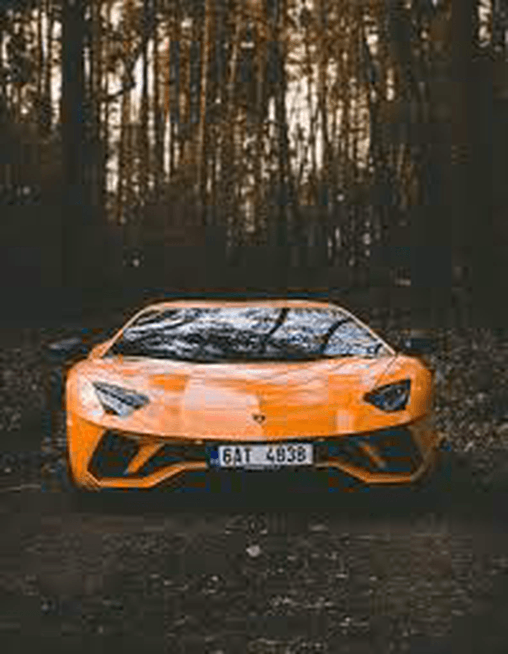 testsirketi